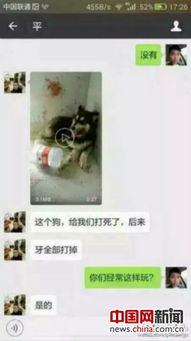 深圳男子爆料事件视频最新,真相背后引发社会关注
