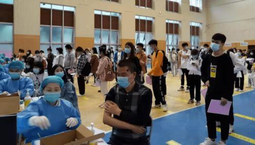 重庆小学爆料事件最新消息,真相揭开，家长震惊不已