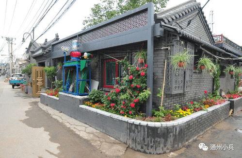 蛋仔最新皮肤爆料2025,炫彩来袭，潮流先锋