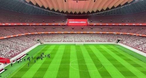 西安足球场爆料最新消息,揭秘工程进度与未来展望