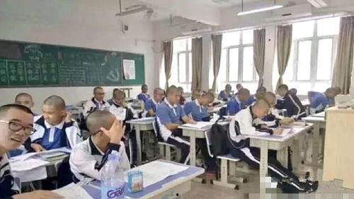 深圳学校最新爆料,最新爆料揭秘校园热点事件