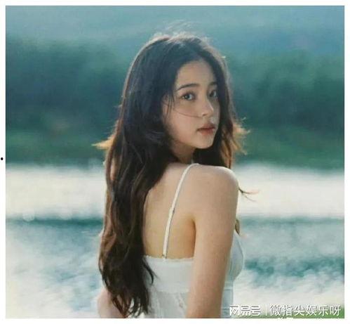 明星八卦大爆料最新合集