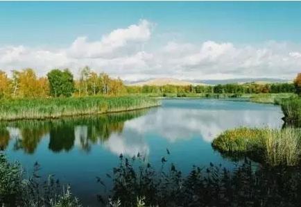 成都白沙湖最新爆料消息,揭秘神秘项目与周边发展动态