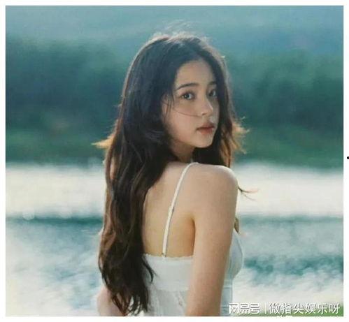 明星八卦大爆料最新合集,明星八卦大爆料最新合集深度解析