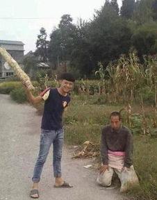 最新遵义绥阳趣事爆料,民间奇闻轶事大盘点